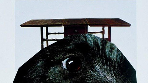 2004.03.03 0080 03 small