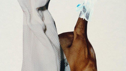 2004.02 DSC 4029 small