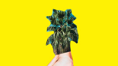 2018.04.04 Collage yellow small