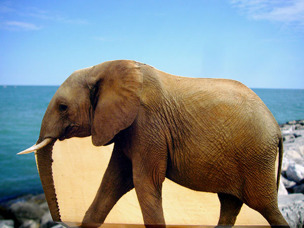 2009.07.28 3d_L1100815