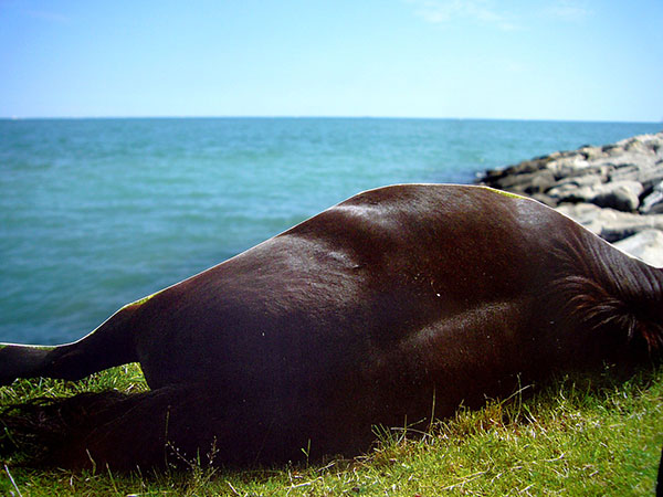 2009.07.28 3d_L1100826