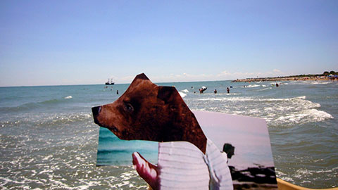 2007.08.06 L1020067-2