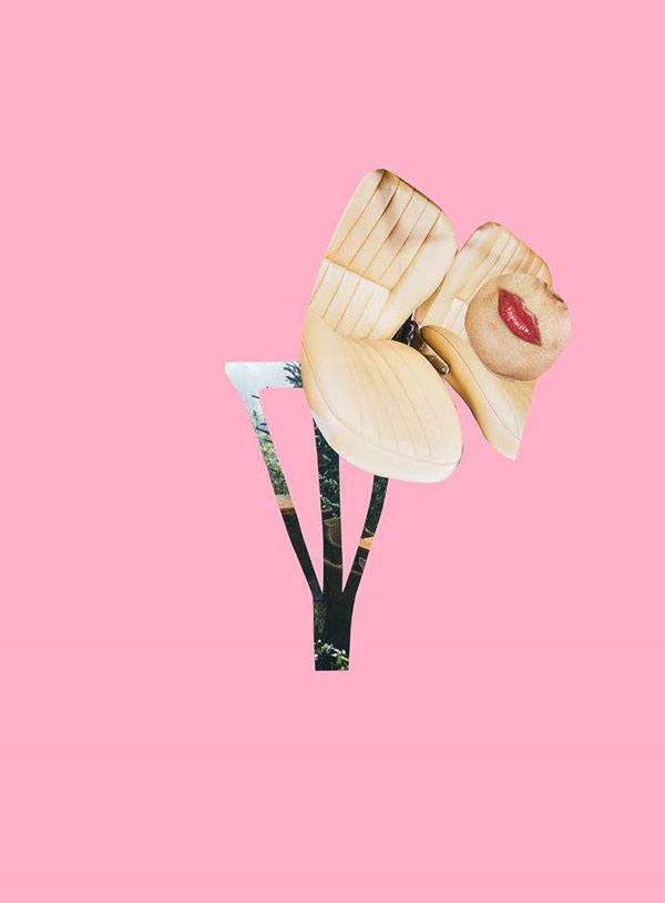 2019 Collage 01.03 30 rosa f