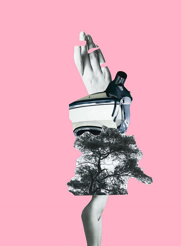 2019 Collage 01.03 38 rosa f