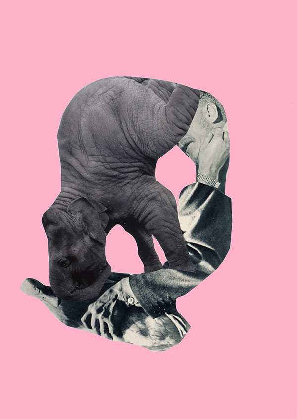 2009.08.20 c_KNB_5912_rosa