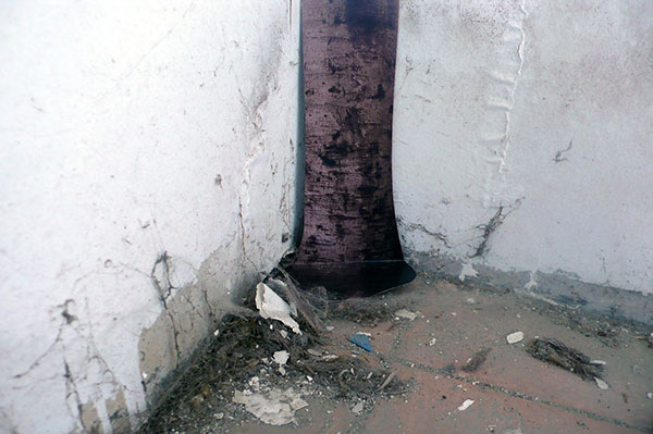 2009.07.28 3d_L1090101