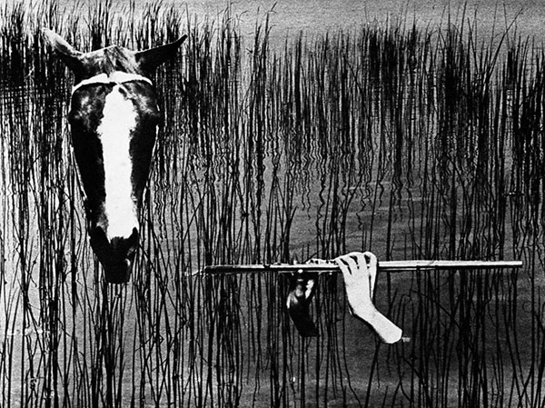 2004.03.03 0010 mysterious world