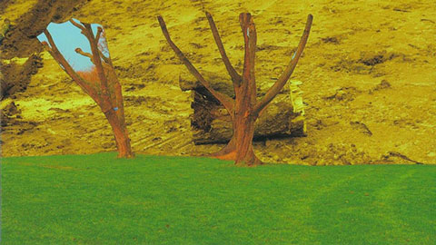 scan 20160314 0607 small