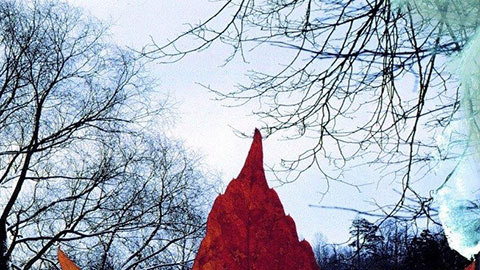 2004.03.03 0030 the wind small