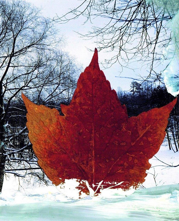 2004.03.03 0030 the wind