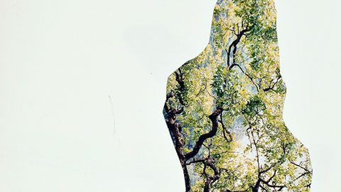 2009.10.27 c_KNB_6170-2