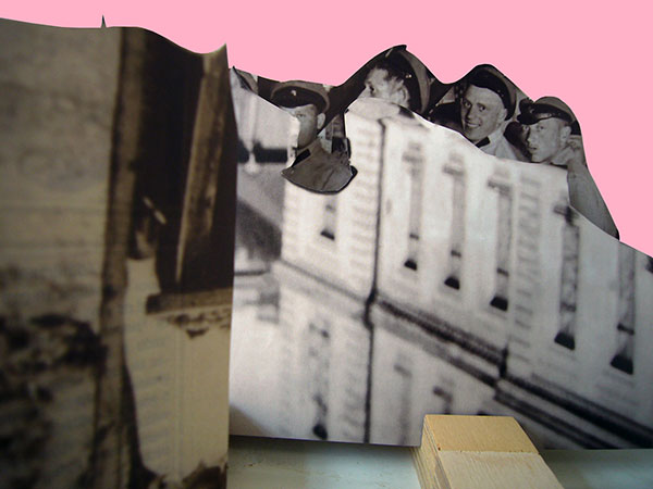 2009.06.20 3d_L1090258_rosa