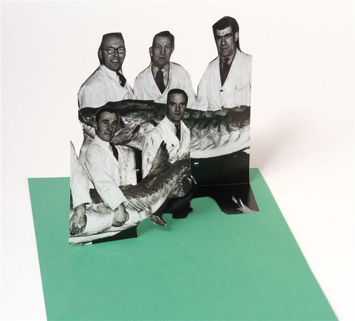 thesoftparade,2006 08082010165825