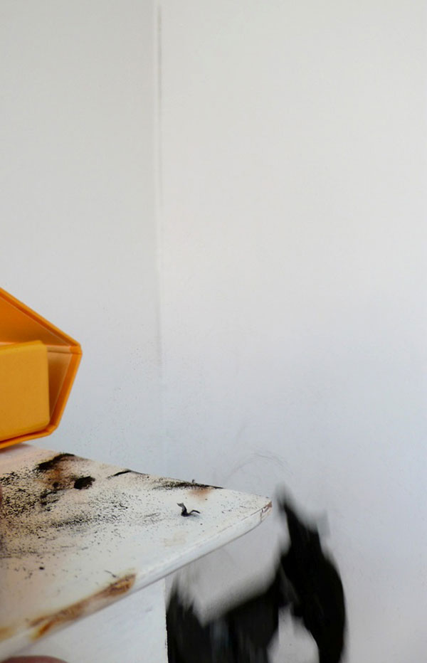 2008.08.13dc L1060174