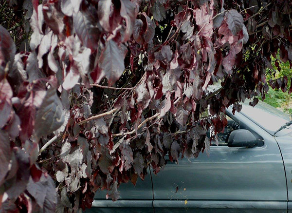 2008.09.29 aw L1060630