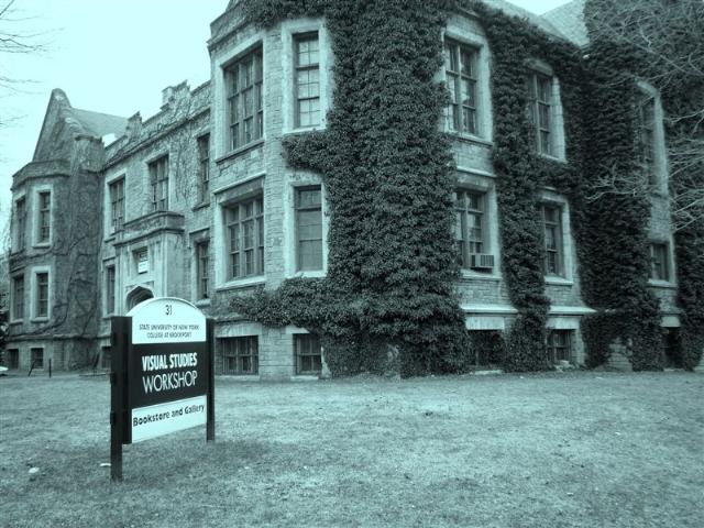 theshapeofwhiteusa2009 08082010161157