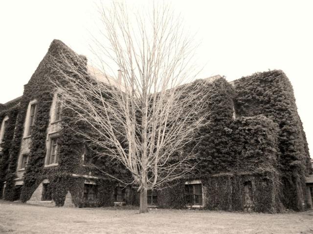 theshapeofwhiteusa2009 08082010161204