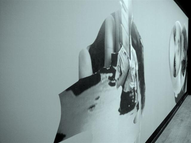 thetriphomagetothepsychedelicera2008 01112010004454