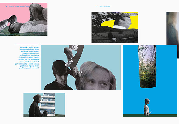 veto magazine 25 4-8-2